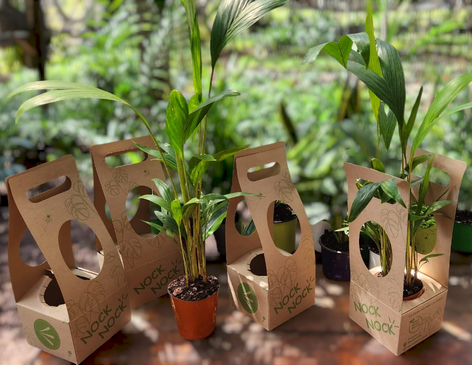 Photoroom-20241001_192757